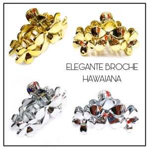 BROCHES