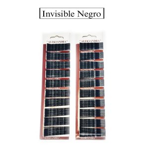 INVISIBLE